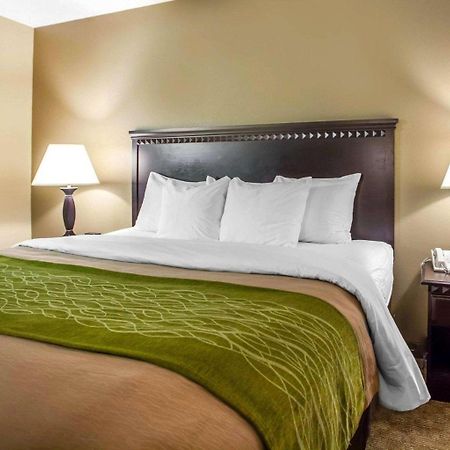 Comfort Inn Edison - New Brunswick Zewnętrze zdjęcie